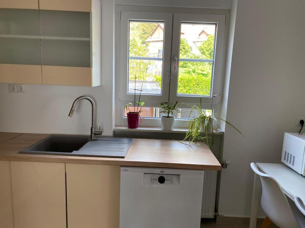 Ferienwohnung Diana Und Manuel Weinheim Dış mekan fotoğraf